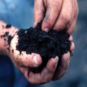 HOMEGROWN Life: Improve Your Soil Health Image